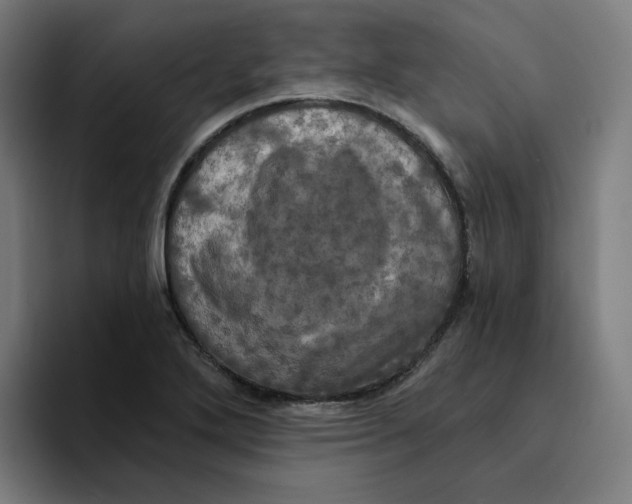 X0000094211272200711161821