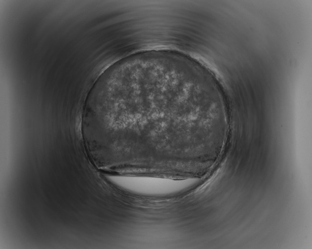 X0000094211273200711161821
