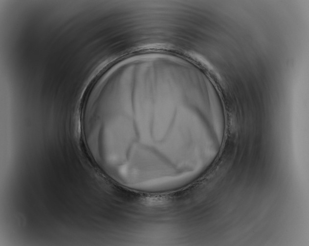 X0000094211274200711161821