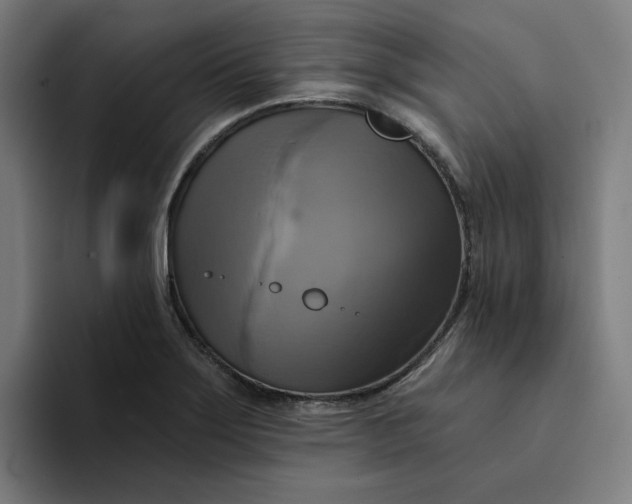 X0000094211275200711161821