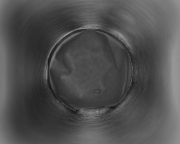 X0000094211276200711161821