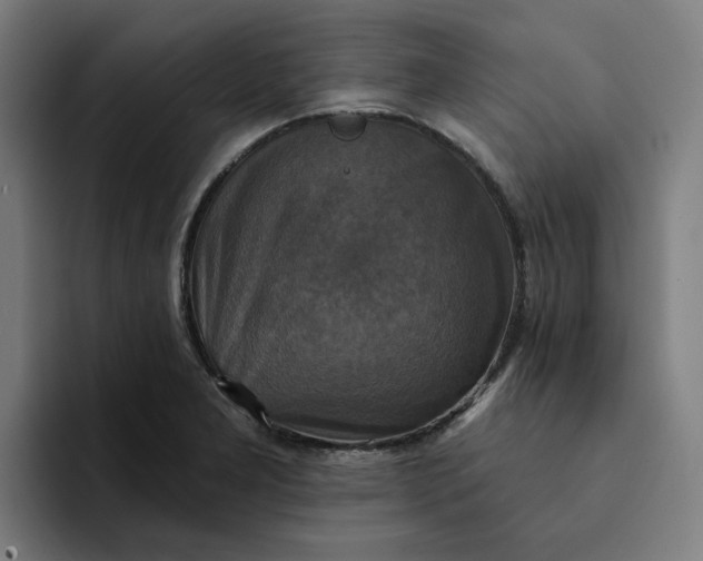 X0000094211277200711161821