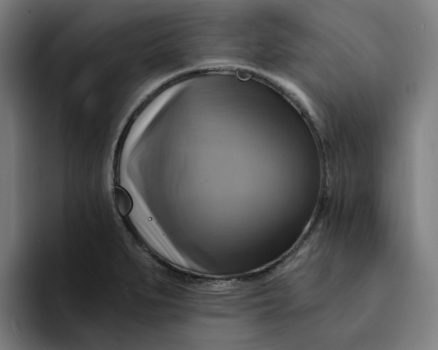 X0000094211279200711161821