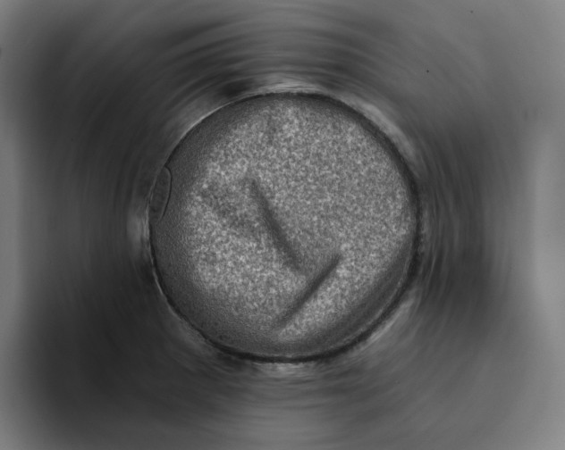 X0000094211281200711161821