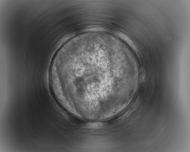 X0000094211282200711161821