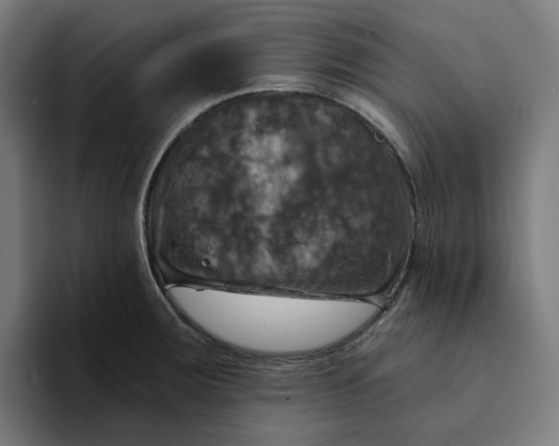X0000094211283200711161821