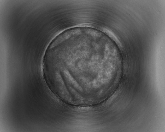 X0000094211284200711161821