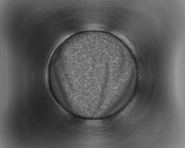 X0000094211285200711161821