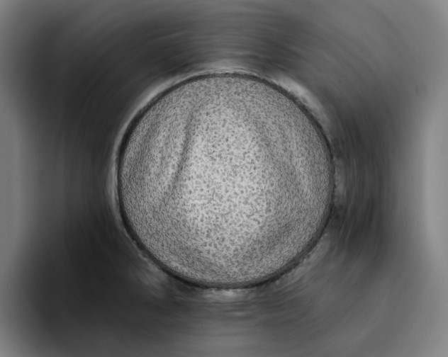 X0000094211286200711161821