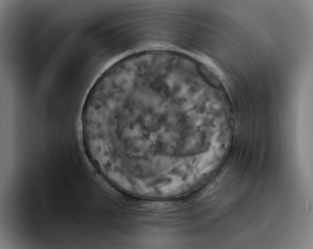 X0000094211287200711161821