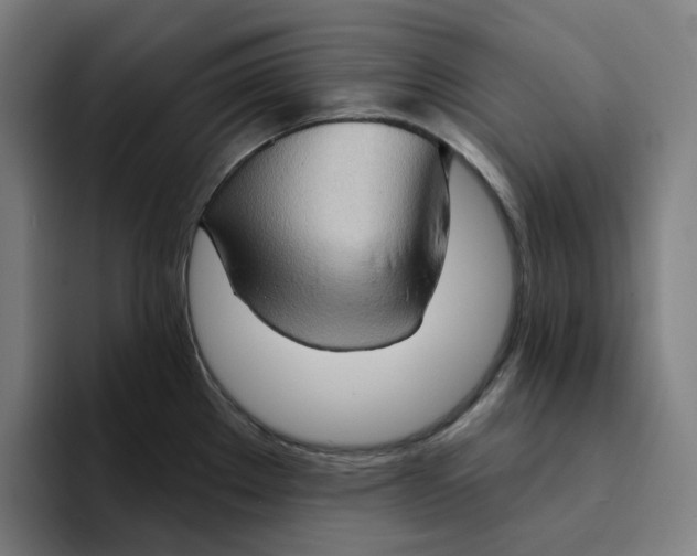 X0000094211289200711161821