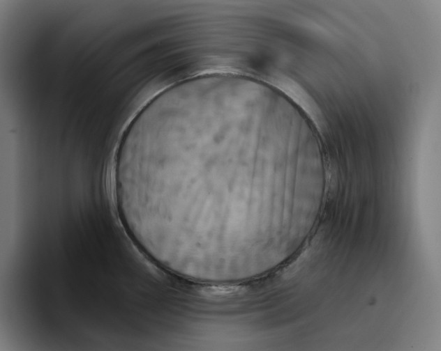 X0000094211290200711161821