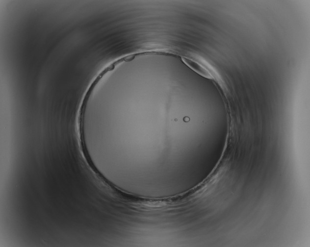 X0000094211291200711161821