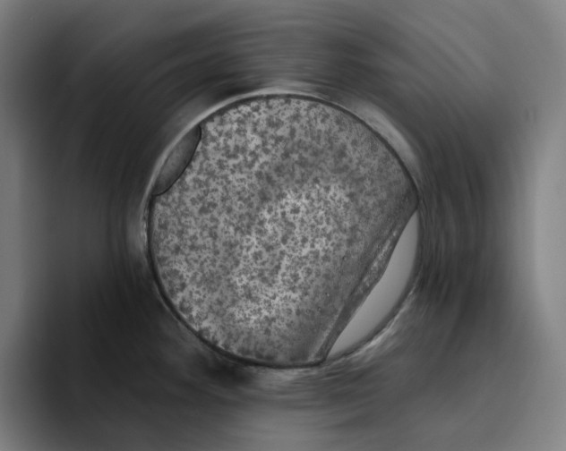 X0000094211292200711161821