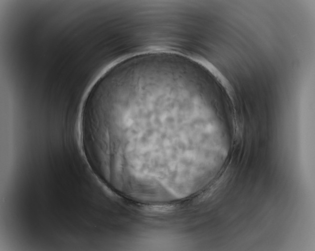 X0000094211294200711161821