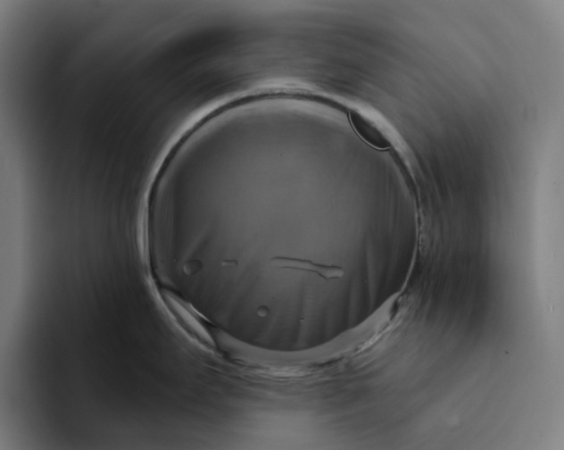 X0000094211295200711161821