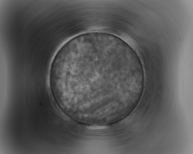 X0000094211296200711161821