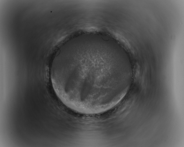 X0000094211301200711161820