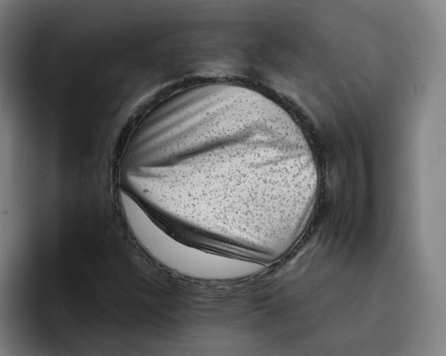 X0000094211304200711161820