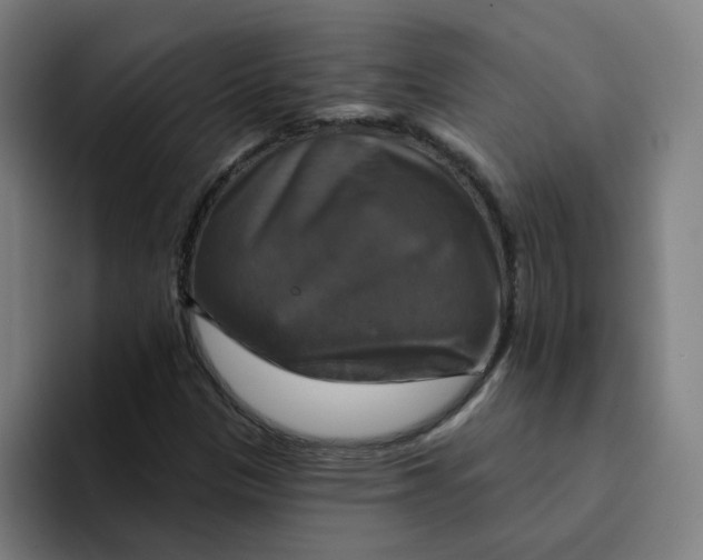 X0000094211305200711161820