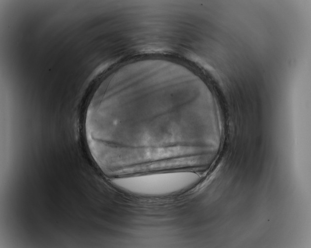 X0000094211306200711161820