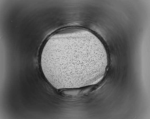 X0000094211308200711161821
