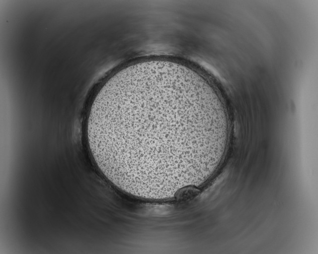 X0000094211309200711161821