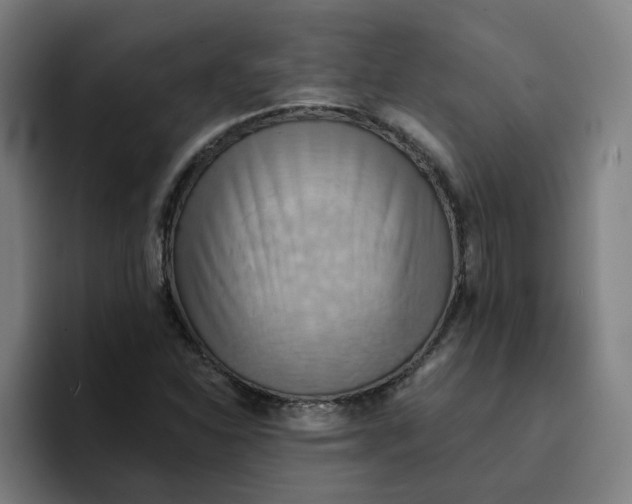 X0000094211310200711161821