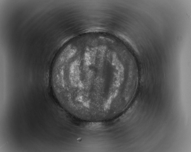 X0000094211313200711161821