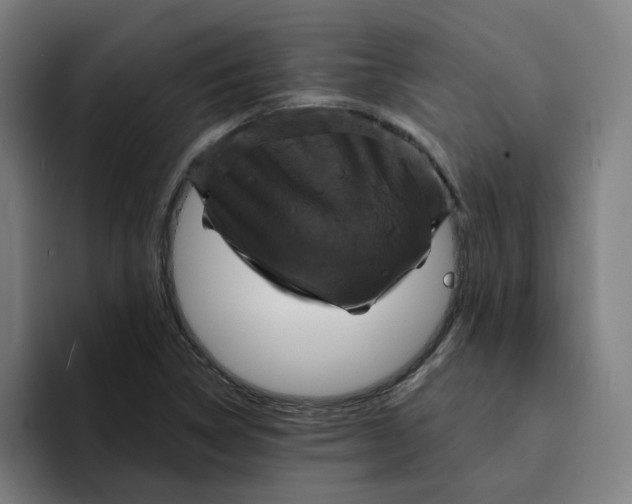 X0000094211314200711161821