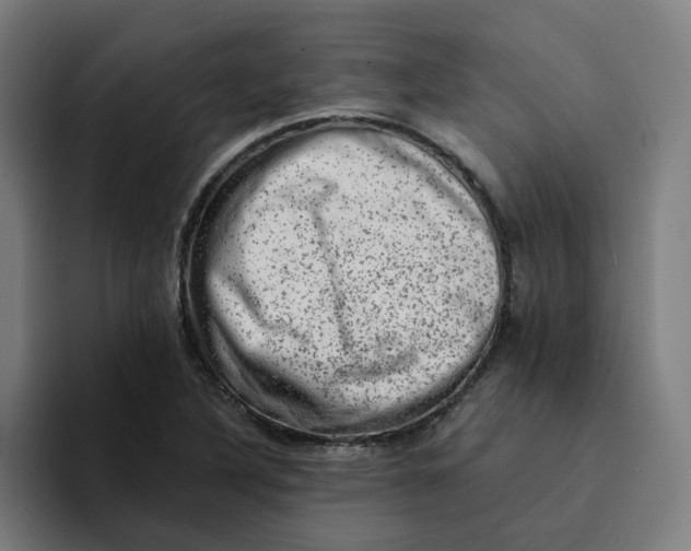 X0000094211316200711161821