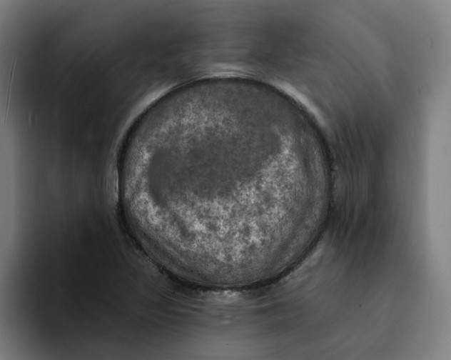 X0000094211317200711161821