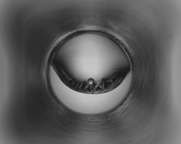 X0000094211319200711161821