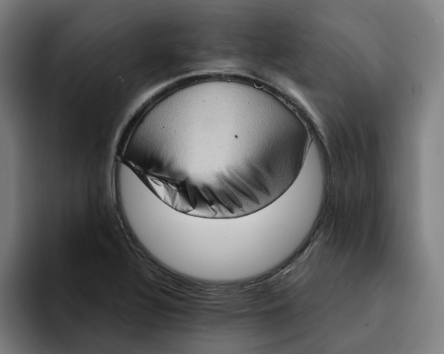 X0000094211320200711161821