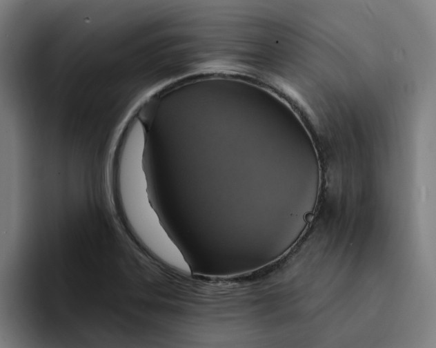 X0000094211323200711161821