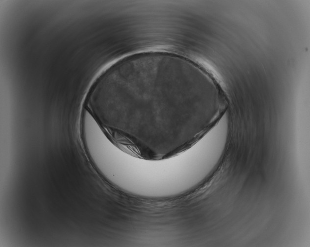 X0000094211324200711161821
