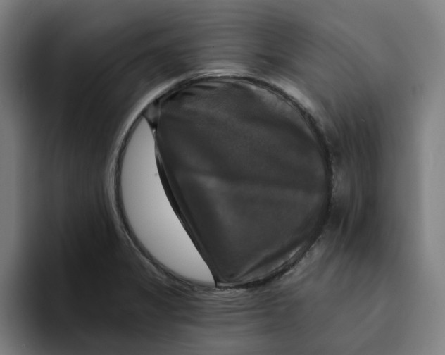 X0000094211325200711161821