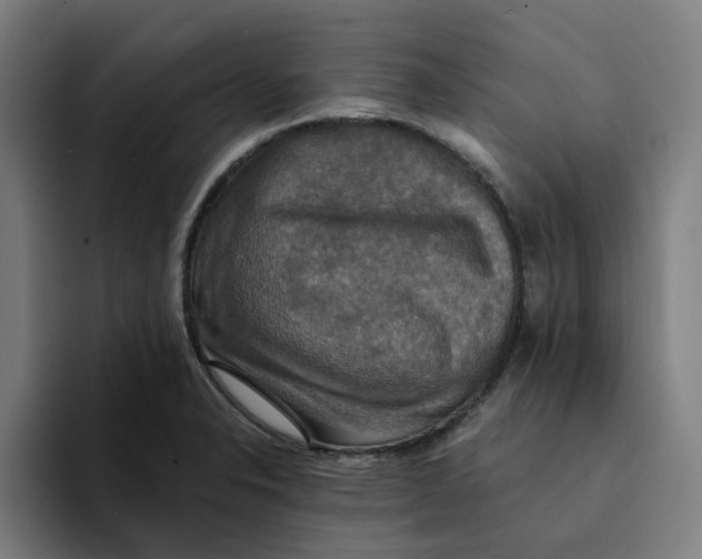 X0000094211326200711161821
