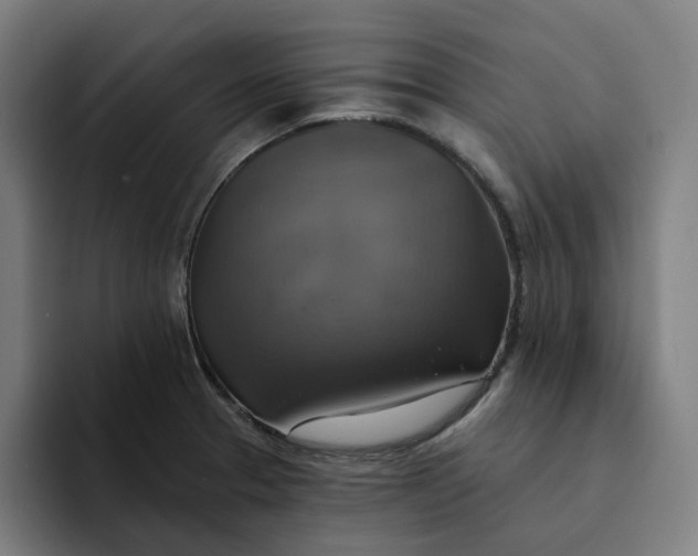 X0000094211329200711161821