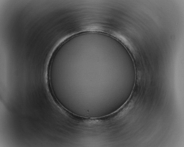 X0000094211331200711161821
