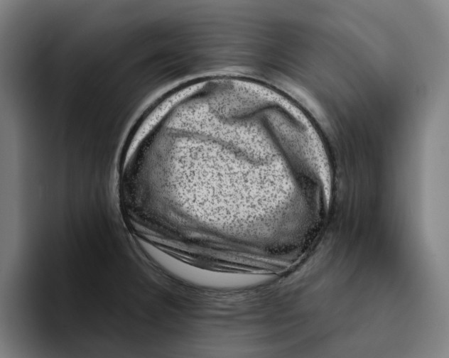 X0000094211332200711161821
