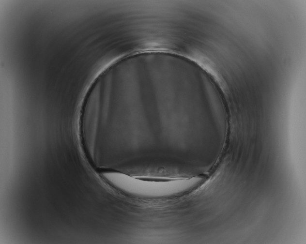 X0000094211333200711161821