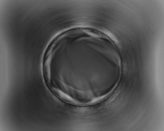 X0000094211334200711161821