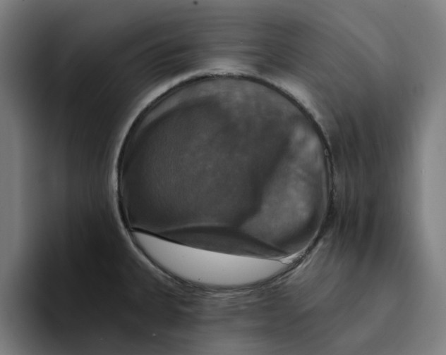 X0000094211335200711161821