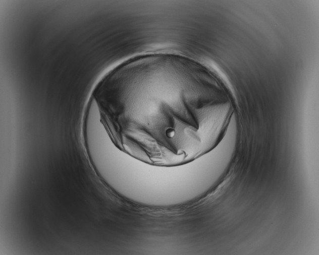 X0000094211336200711161821
