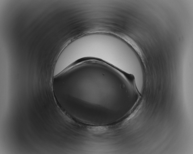 X0000094211337200711161821