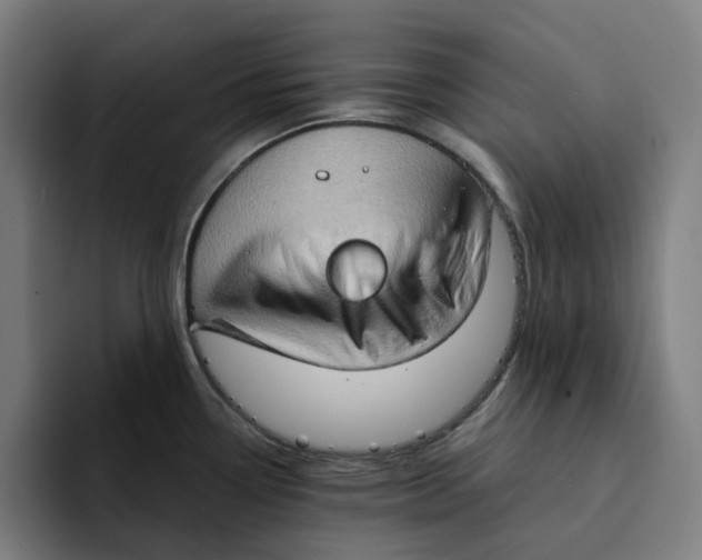 X0000094211338200711161821