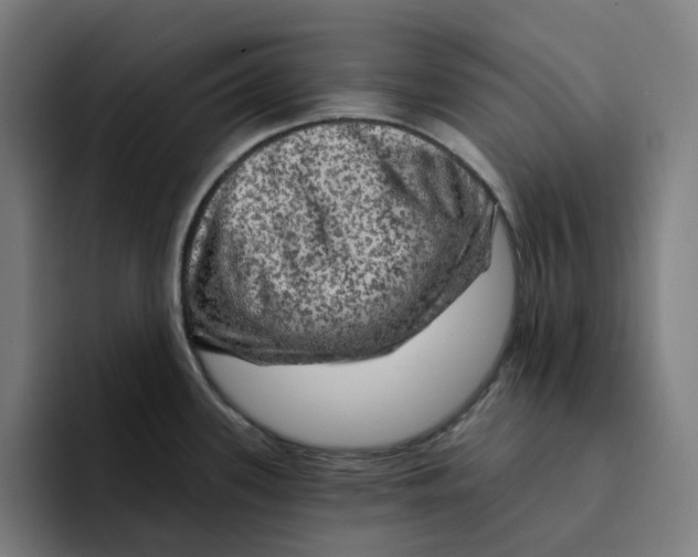 X0000094211339200711161821