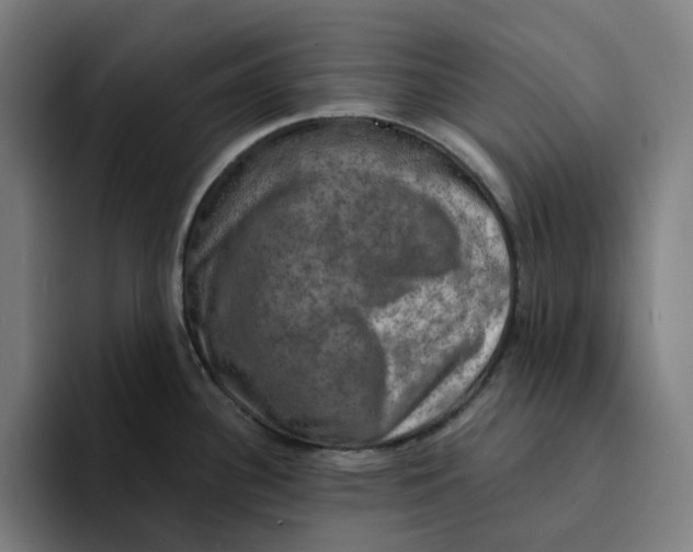 X0000094211340200711161821
