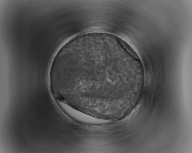 X0000094211341200711161821